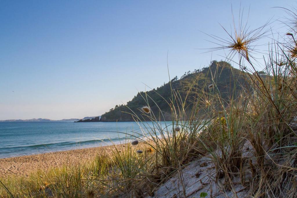Ocean Cliff Court Villa Kuaotunu Dış mekan fotoğraf